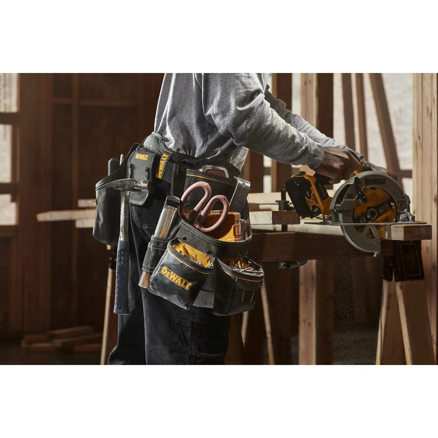 DEWALT DWST540601-Professional Tool Rig DEWALT