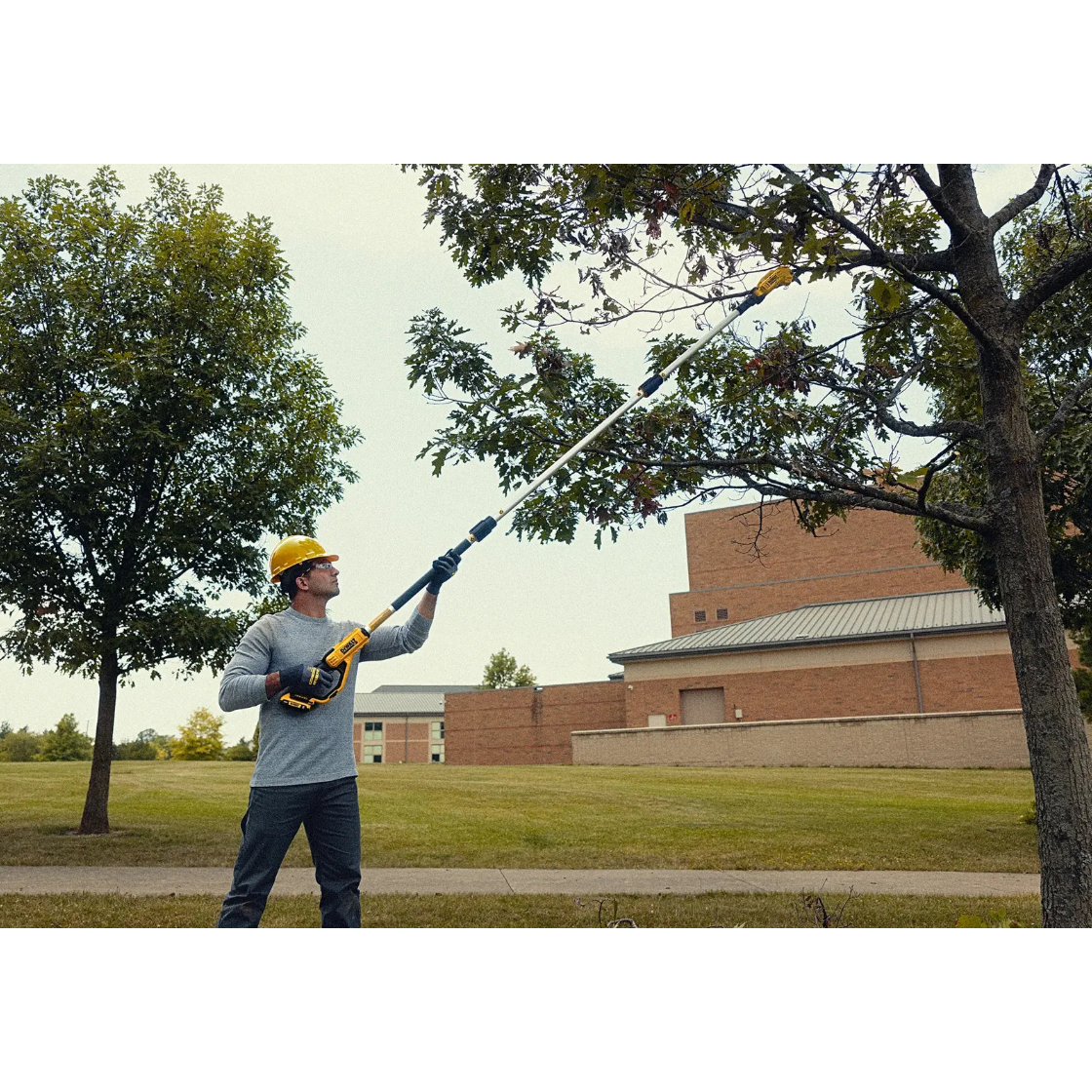 DEWALT DCPPR320B - 20V MAX 1-1/2-in. Cordless Pole Pruner