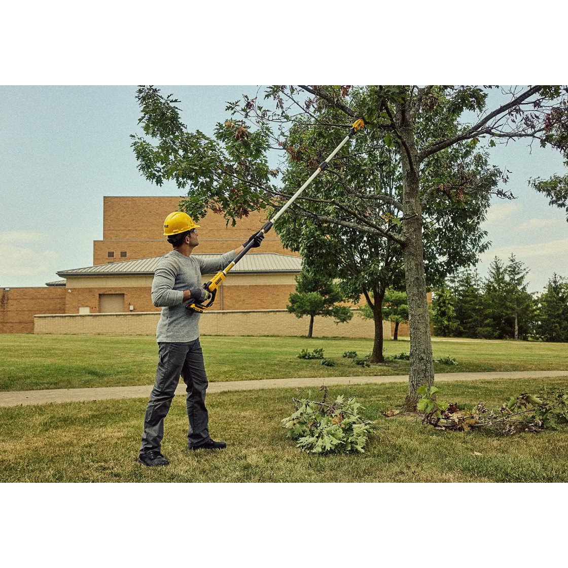 DEWALT DCPPR320B - 20V MAX 1-1/2-in. Cordless Pole Pruner