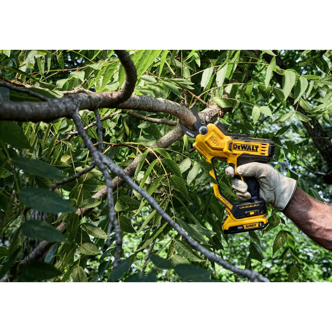 DEWALT DCPR320B - 20V MAX 1-1/2-in. Cordless Pruner