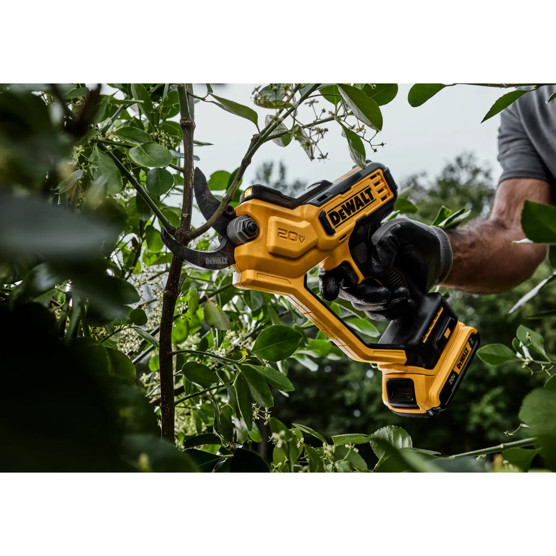 DEWALT DCPR320B - 20V MAX 1-1/2-in. Cordless Pruner